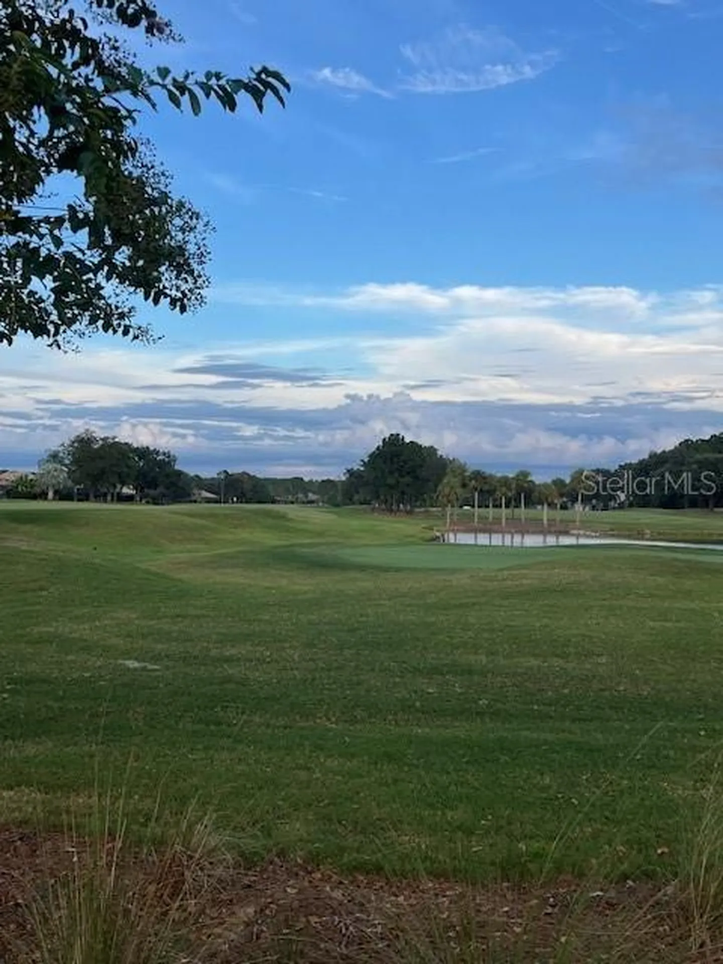 2900 Banyan Hill Lane Land O Lakes FL 34639