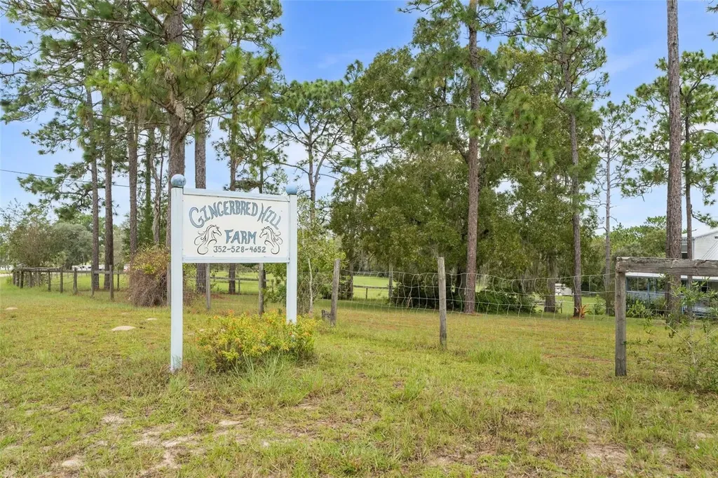 13651 SE 73rd Lane Morriston FL 32668