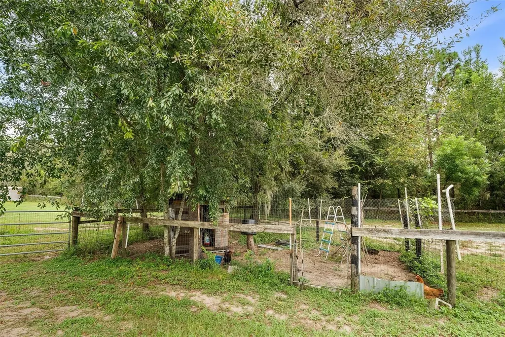 13651 SE 73rd Lane Morriston FL 32668