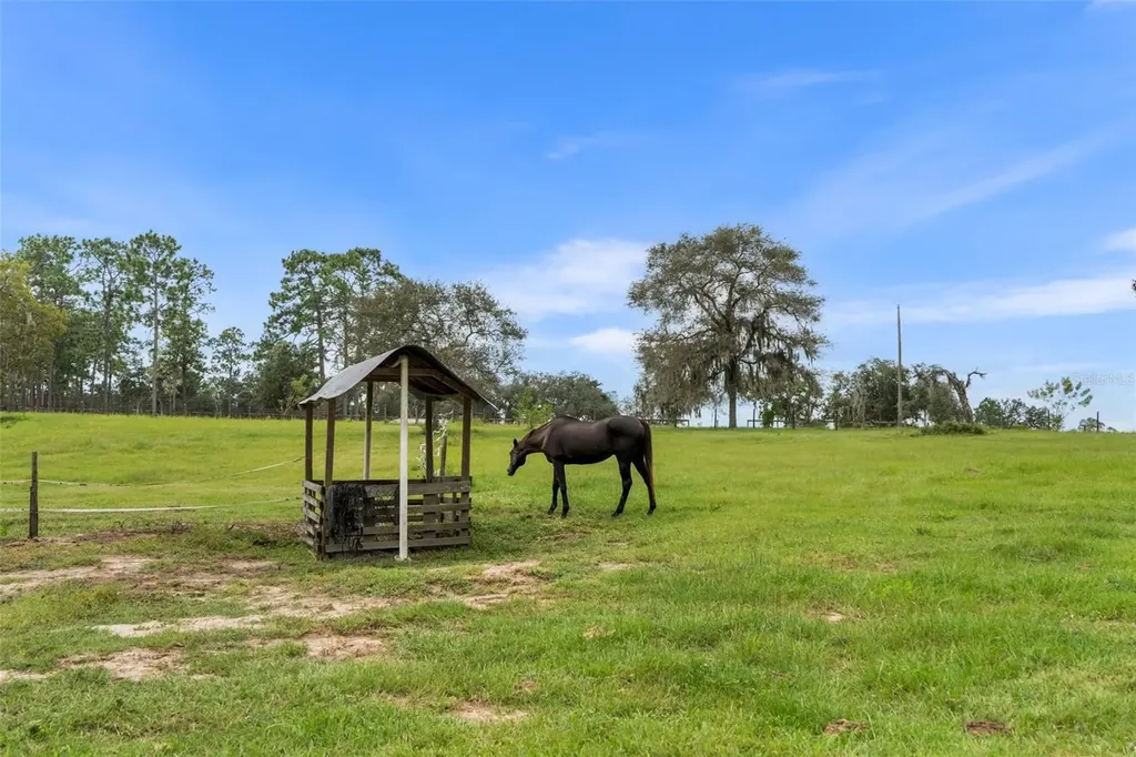 13651 SE 73rd Lane Morriston FL 32668