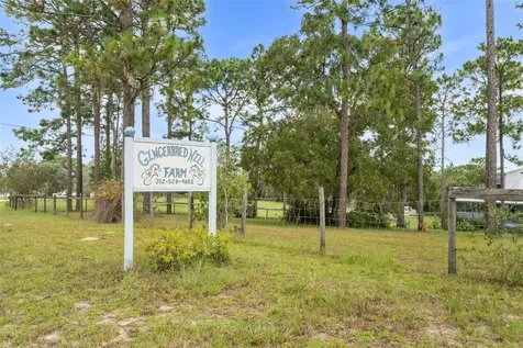 13651 SE 73rd Lane Morriston FL 32668