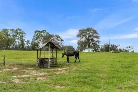 13651 SE 73rd Lane Morriston FL 32668