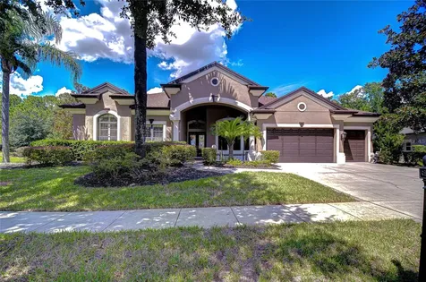 21327 Lake Vienna Drive Land O Lakes FL 34638
