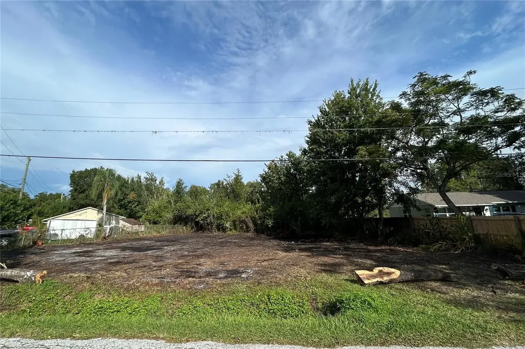 21121 Little Lake Thomas Road Land O Lakes FL 34638