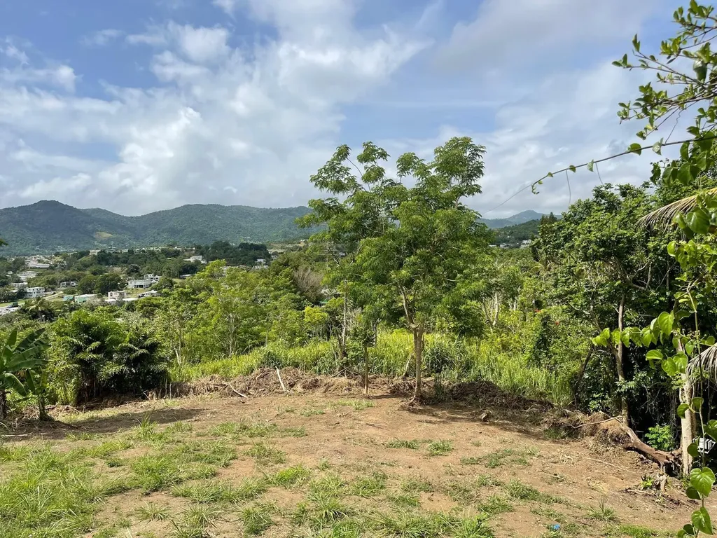 Bo. Arenas Carr Pr-734 Km 6.3 Cidra PR 00739