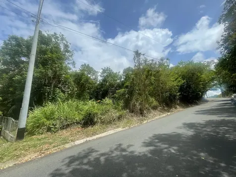 Bo. Arenas Carr Pr-734 Km 6.3 Cidra PR 00739