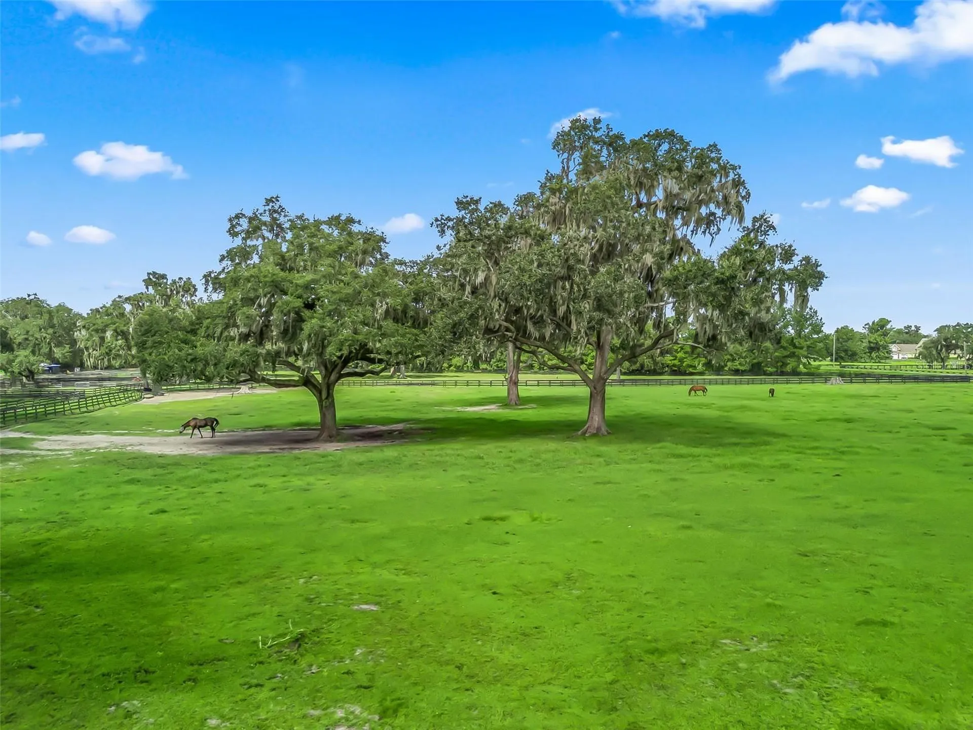 Tbd NW 110th Avenue Ocala FL 34482