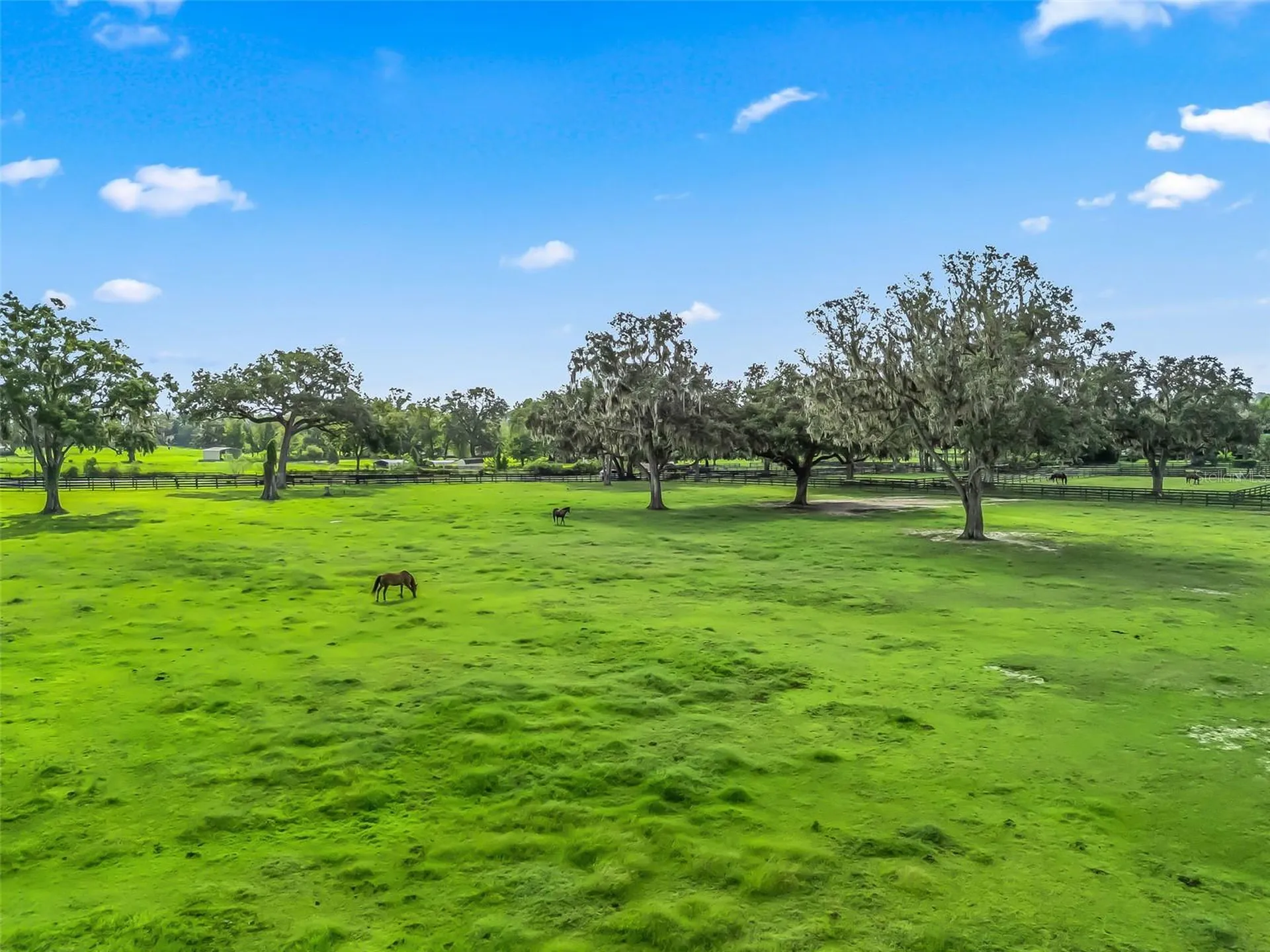 Tbd NW 110th Avenue Ocala FL 34482