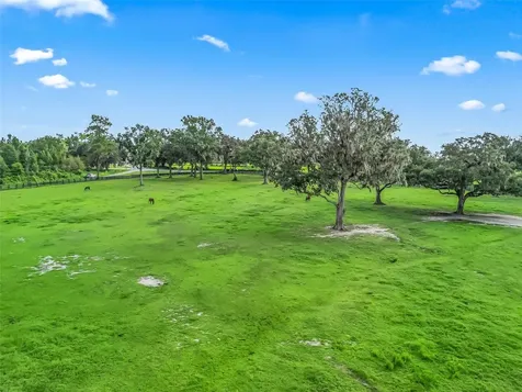 Tbd NW 110th Avenue Ocala FL 34482