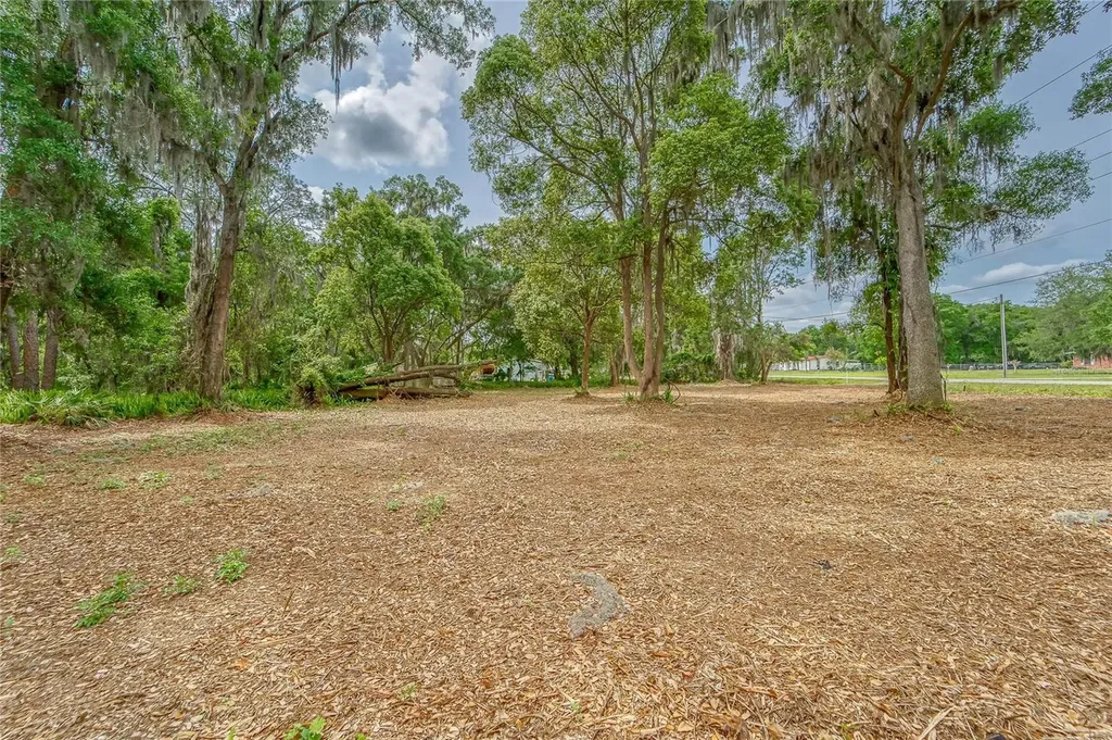 Turkey Creek Plant City FL 33566