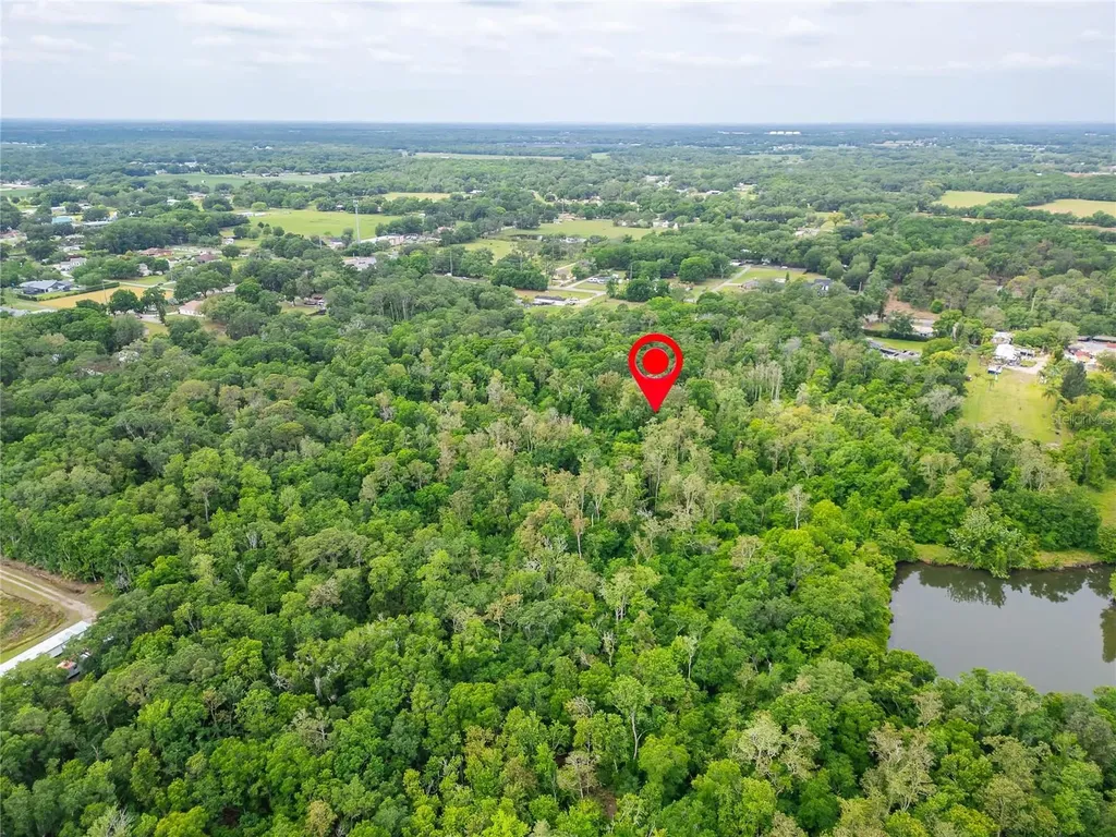 Turkey Creek Plant City FL 33566