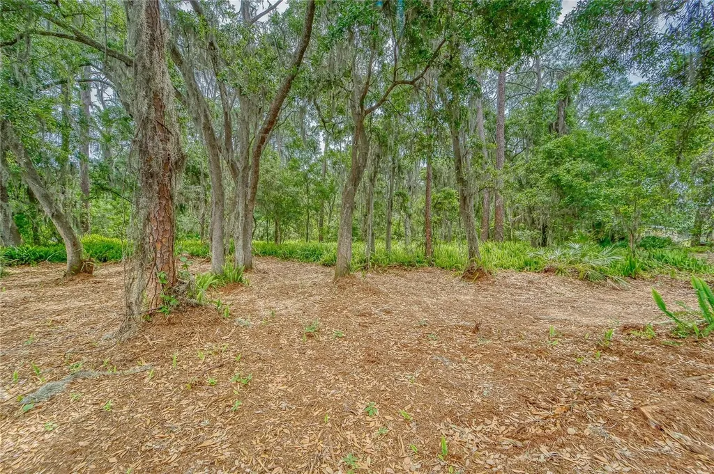 Turkey Creek Plant City FL 33566