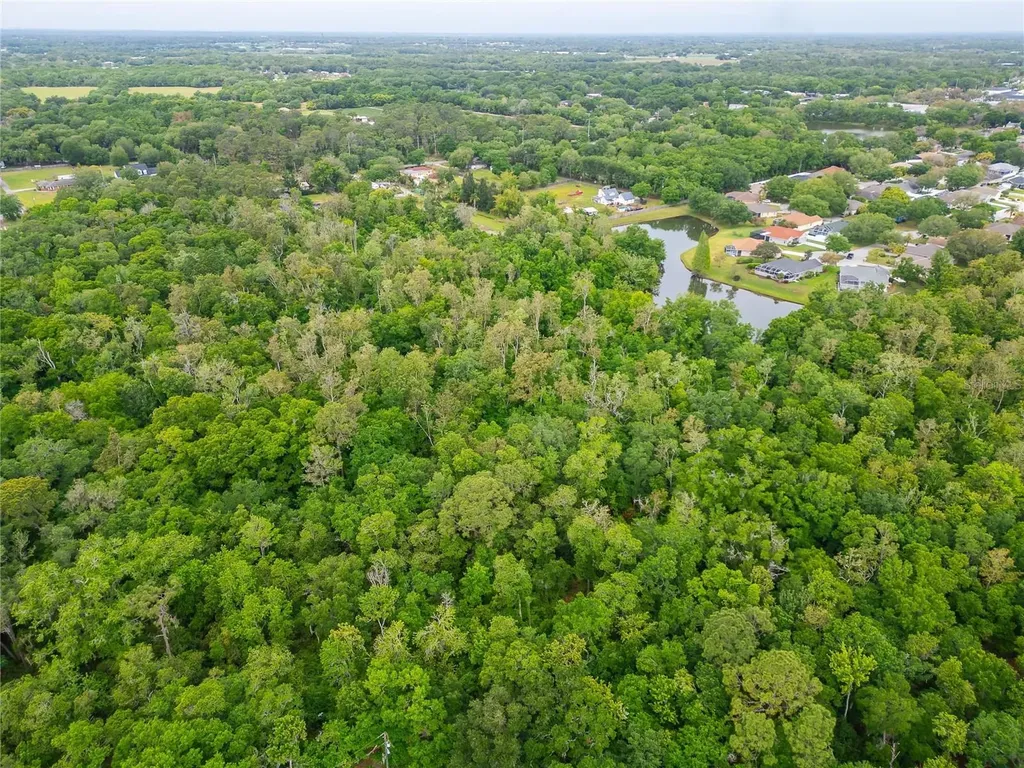 Turkey Creek Plant City FL 33566
