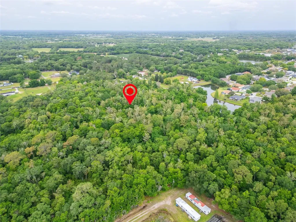 Turkey Creek Plant City FL 33566