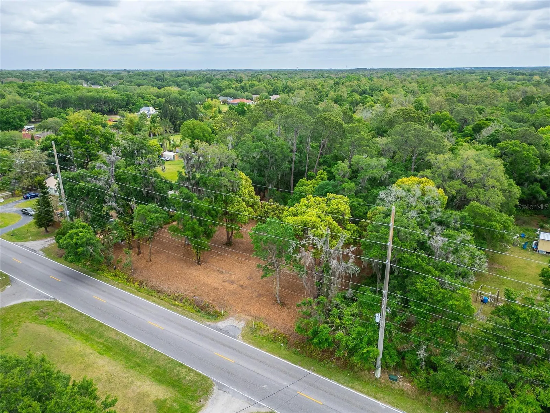 Turkey Creek Plant City FL 33566
