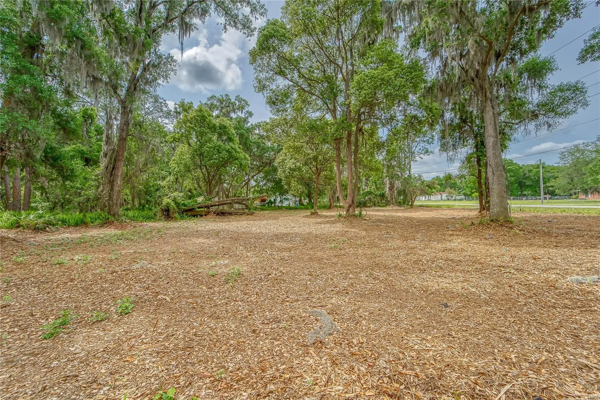 Turkey Creek Plant City FL 33566