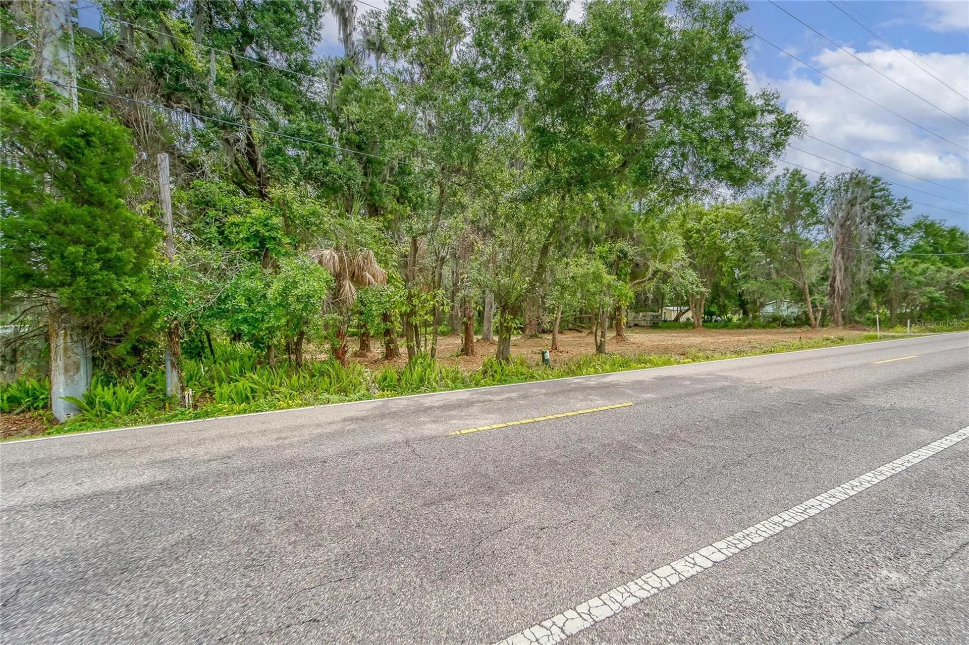 Turkey Creek Plant City FL 33566