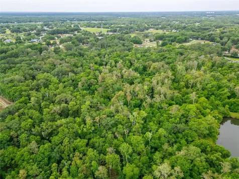 Turkey Creek Plant City FL 33566