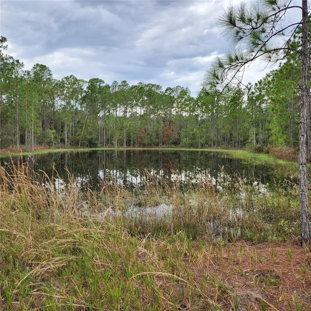 Lot 2 South Shore Drive Lake Wales FL 33898