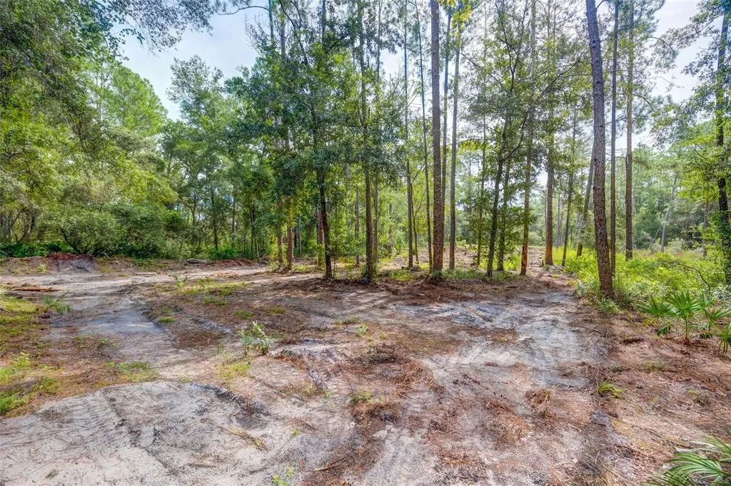 34389 Grindstone Drive Webster FL 33597