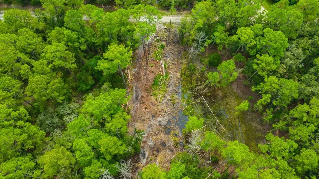 34389 Grindstone Drive Webster FL 33597