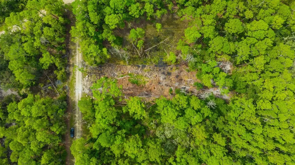 34389 Grindstone Drive Webster FL 33597