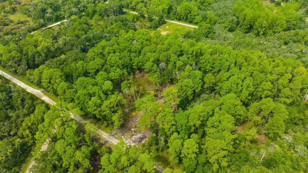 34389 Grindstone Drive Webster FL 33597