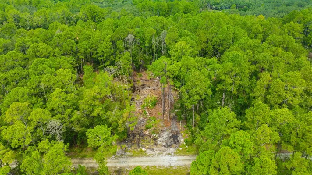 34389 Grindstone Drive Webster FL 33597