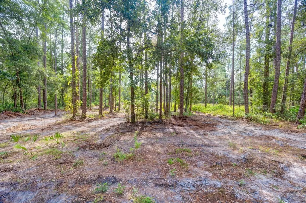 34389 Grindstone Drive Webster FL 33597