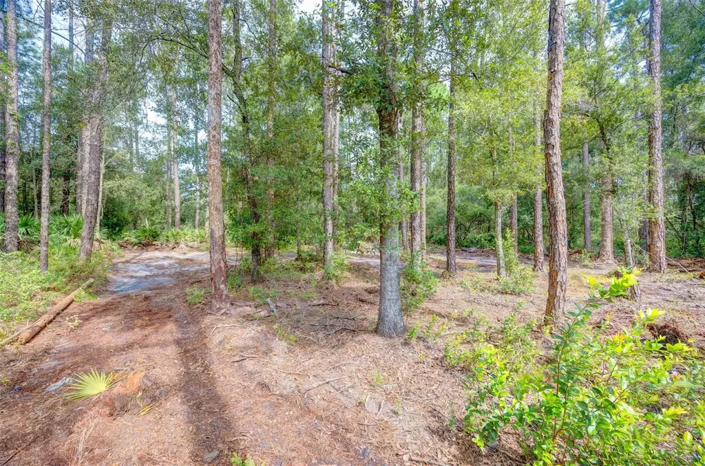 34389 Grindstone Drive Webster FL 33597