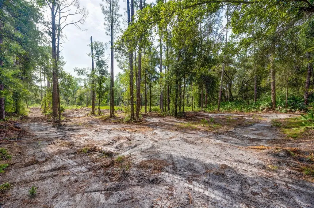 34389 Grindstone Drive Webster FL 33597