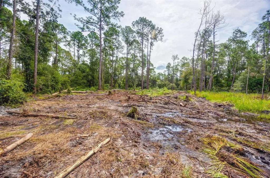 34389 Grindstone Drive Webster FL 33597