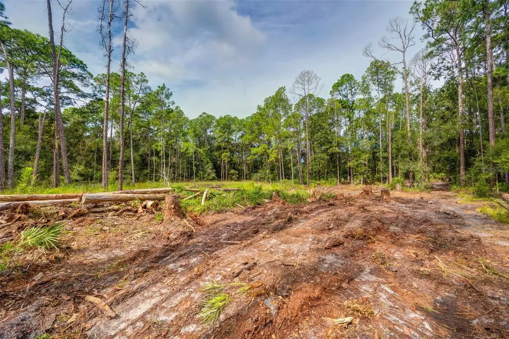 34389 Grindstone Drive Webster FL 33597