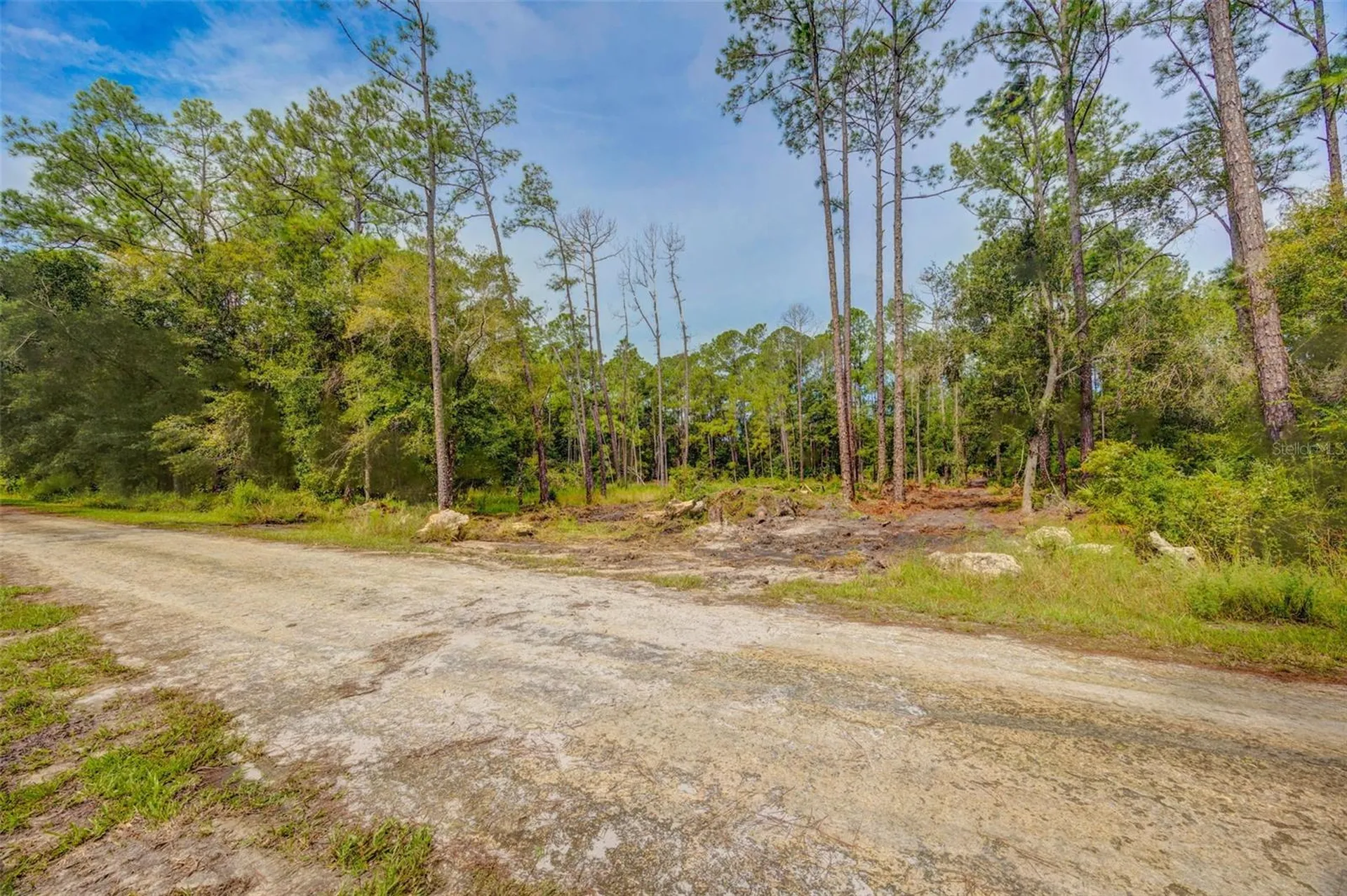 34389 Grindstone Drive Webster FL 33597