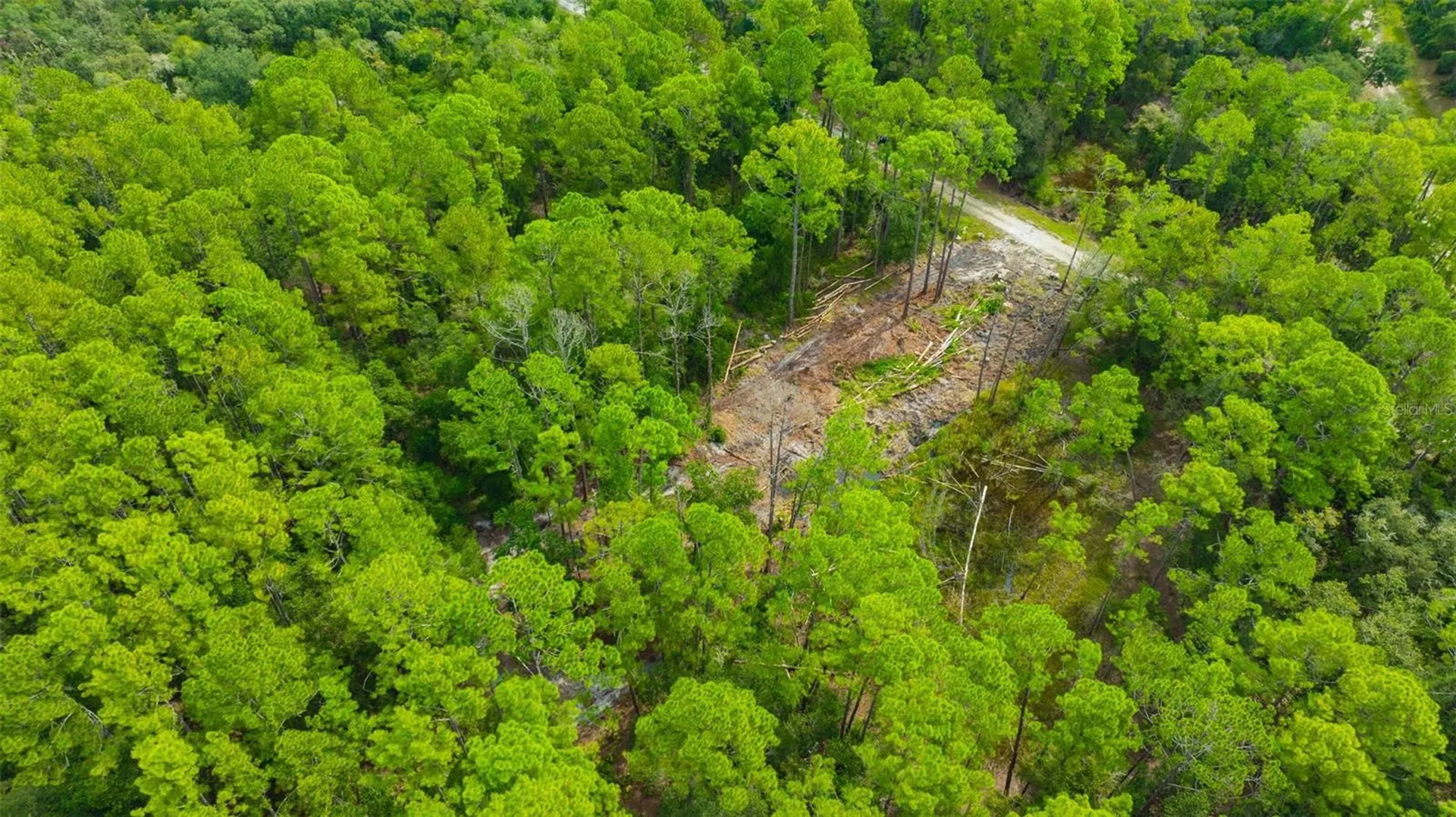 34389 Grindstone Drive Webster FL 33597