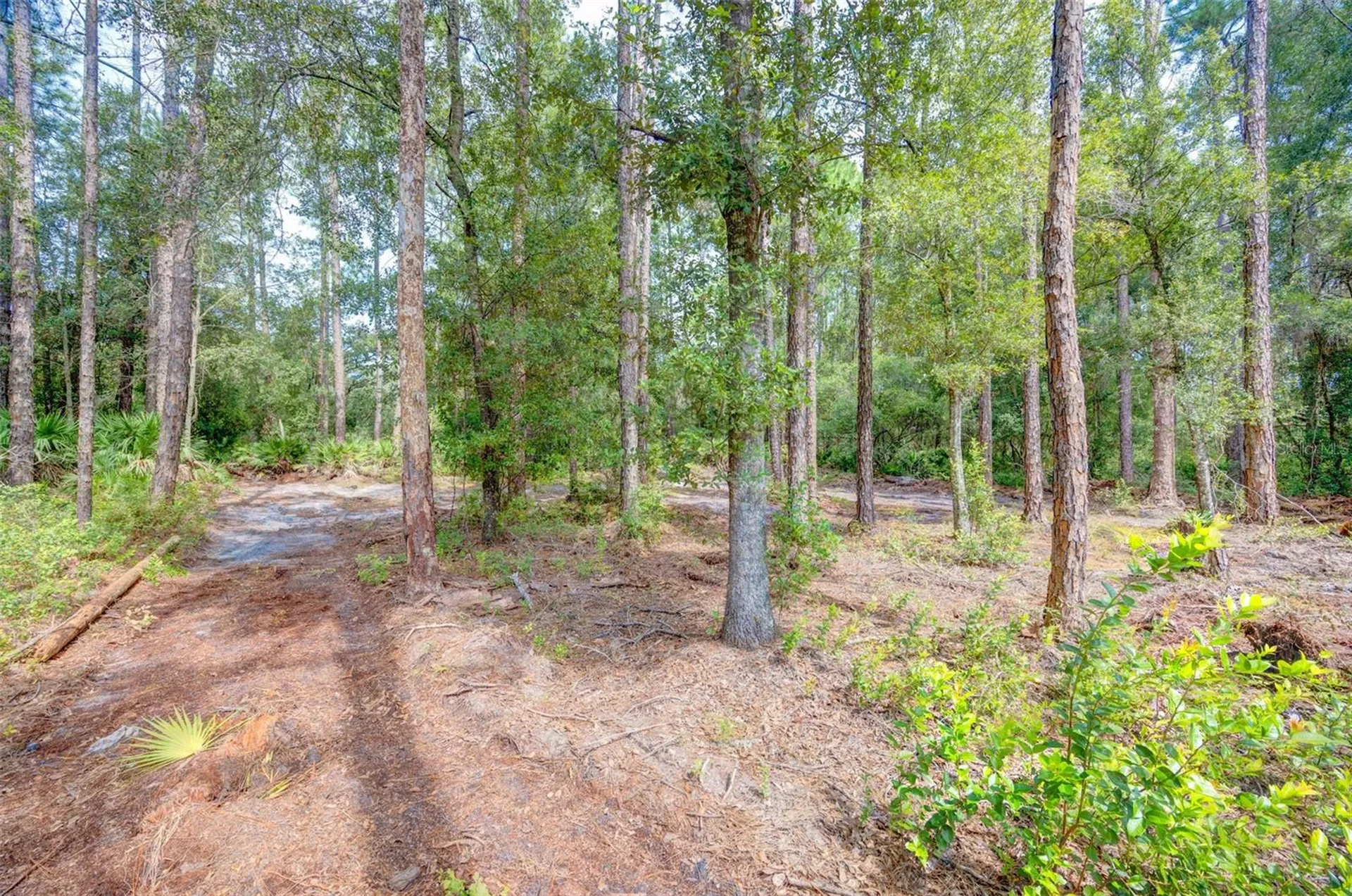 34389 Grindstone Drive Webster FL 33597
