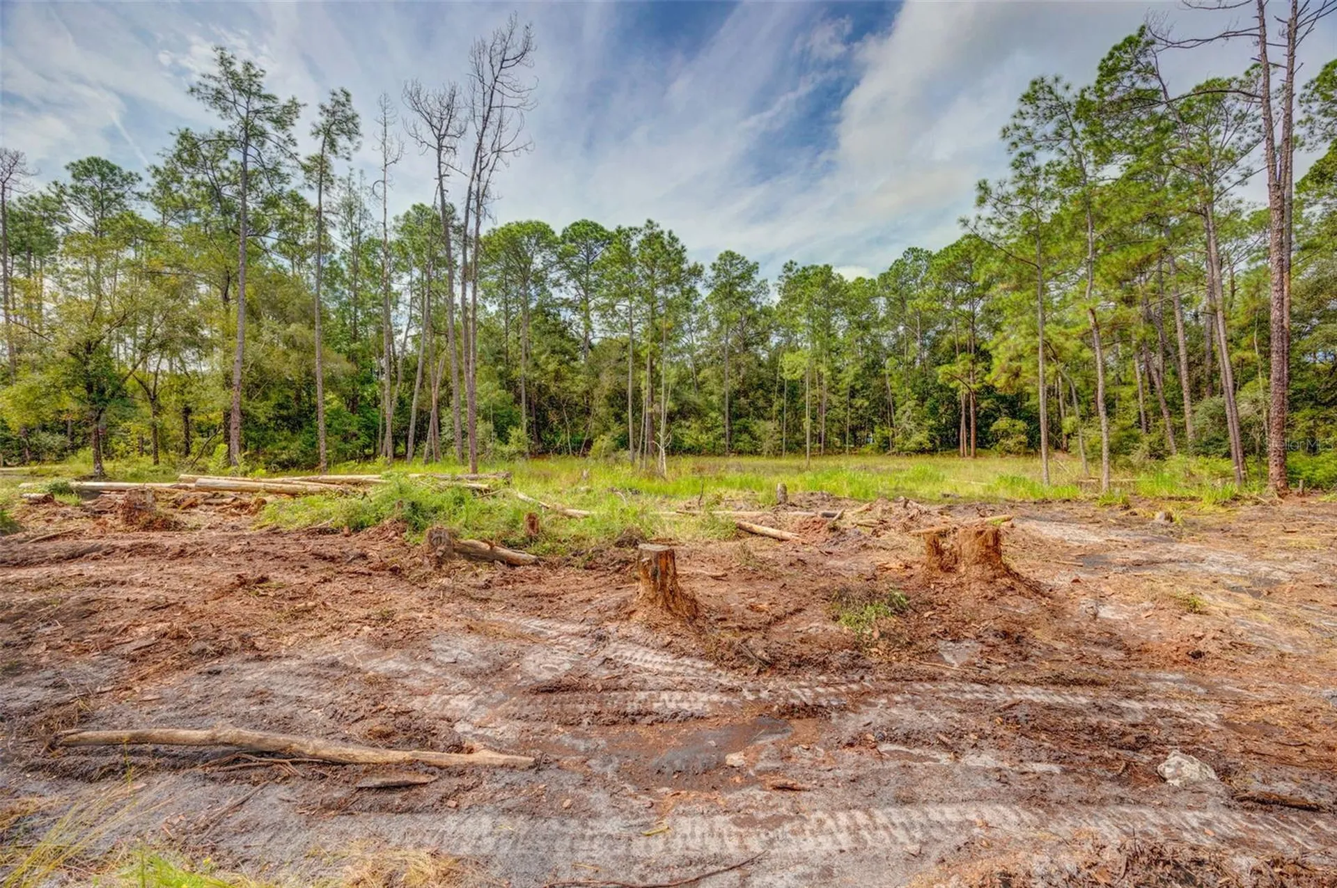 34389 Grindstone Drive Webster FL 33597