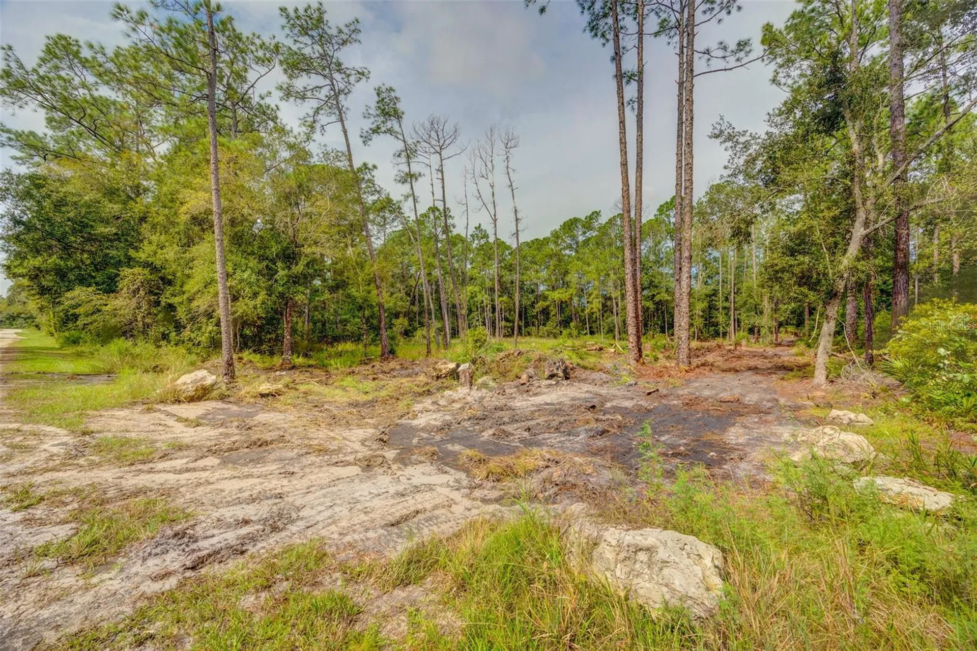 34389 Grindstone Drive Webster FL 33597