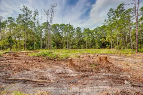 34389 Grindstone Drive Webster FL 33597
