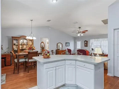 1002 Golden Grove Drive The Villages FL 32162