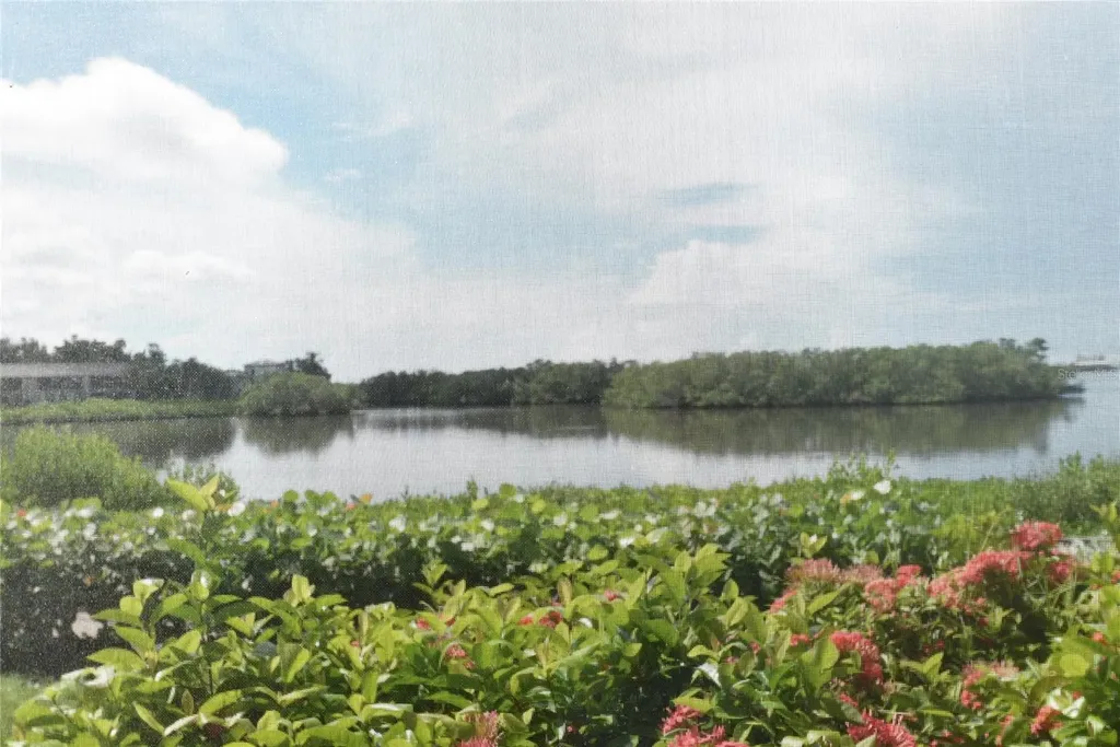 1520 Pelican Point Drive Sarasota FL 34231