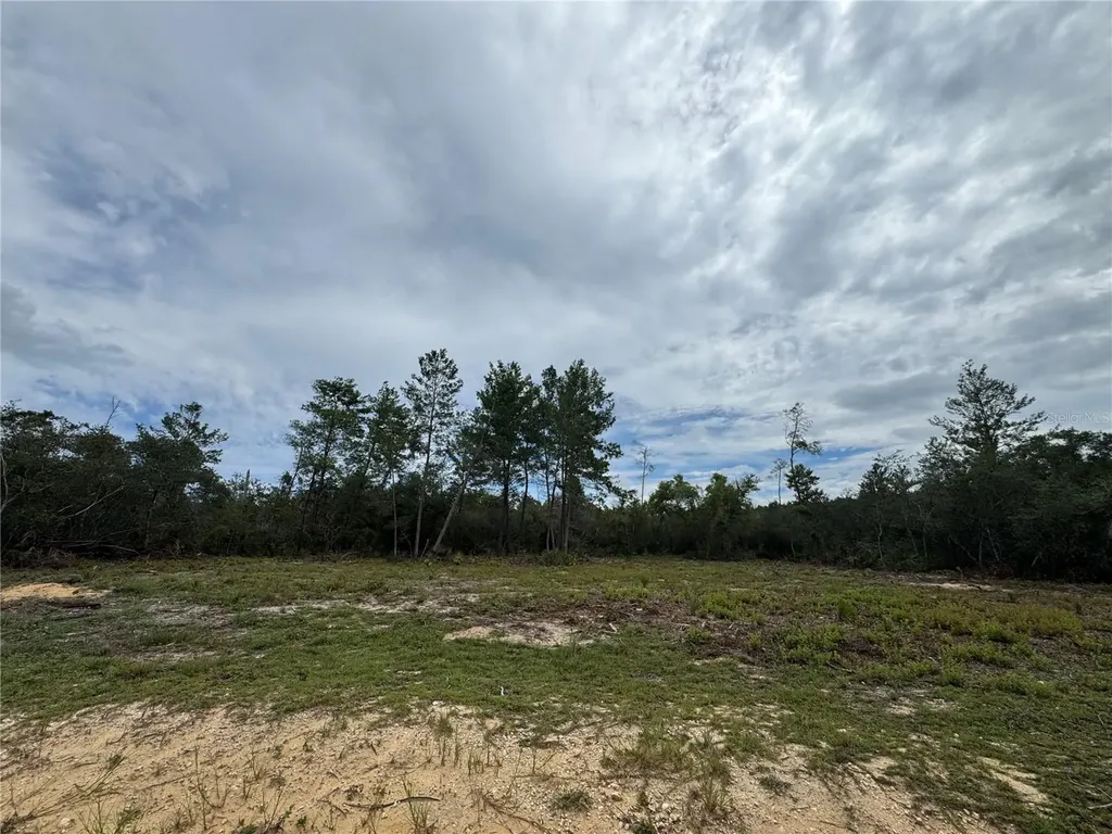 NE 135th Street Salt Springs FL 32134