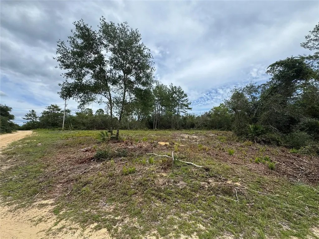 NE 135th Street Salt Springs FL 32134