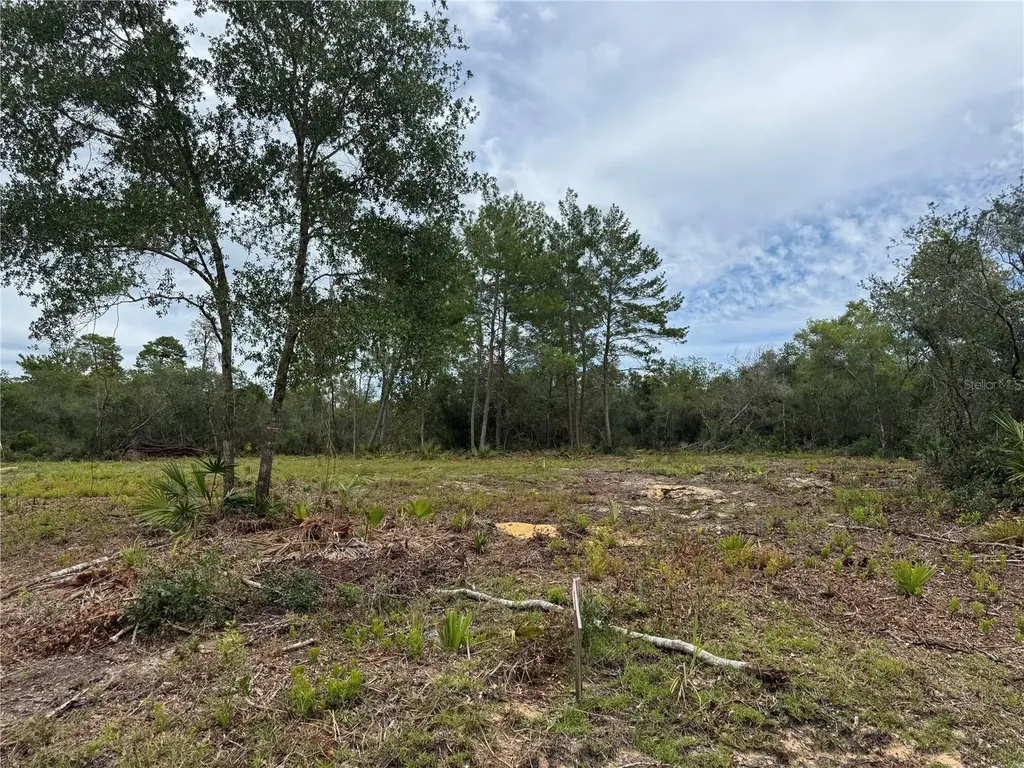 NE 135th Street Salt Springs FL 32134
