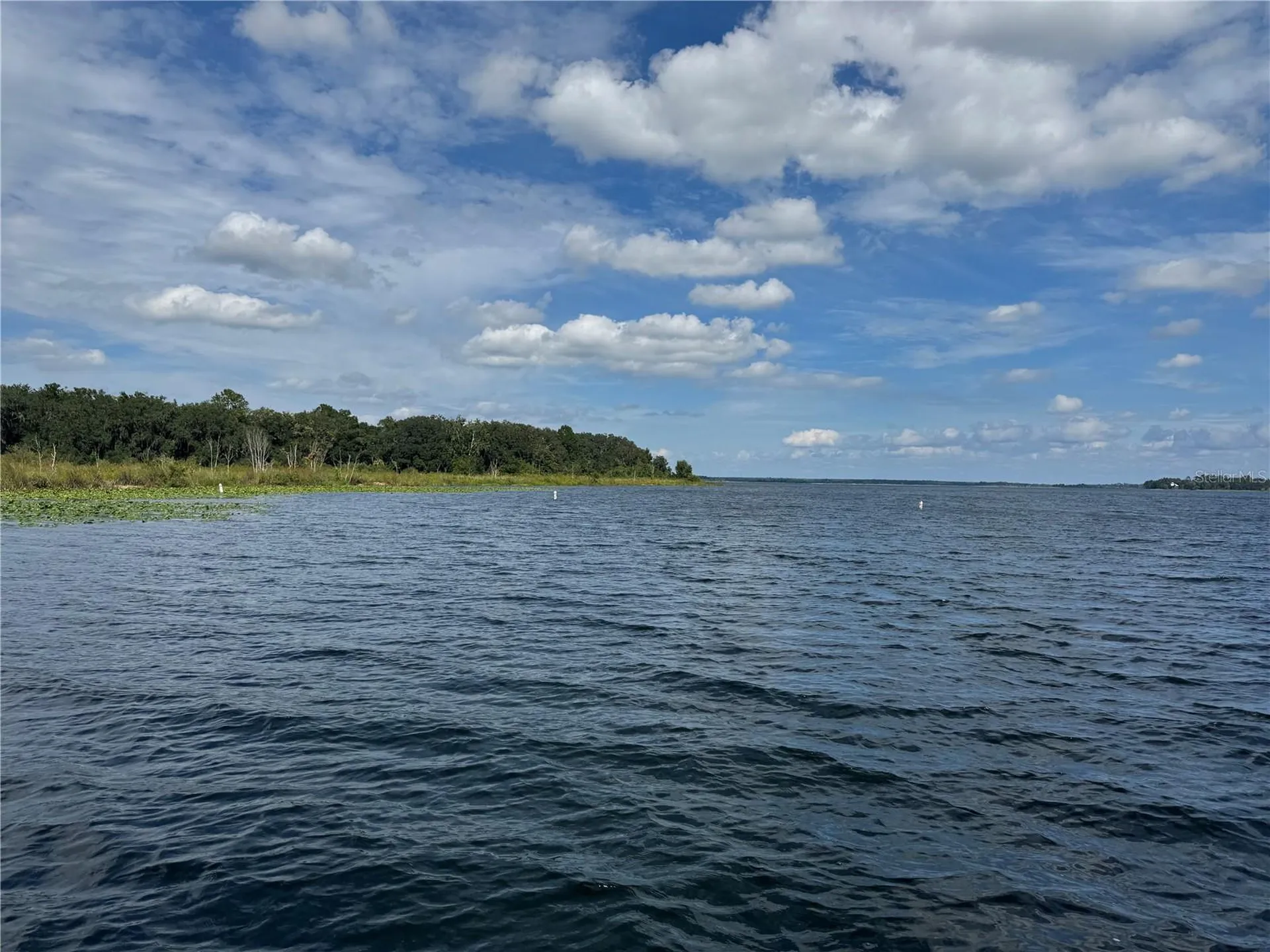 NE 135th Street Salt Springs FL 32134