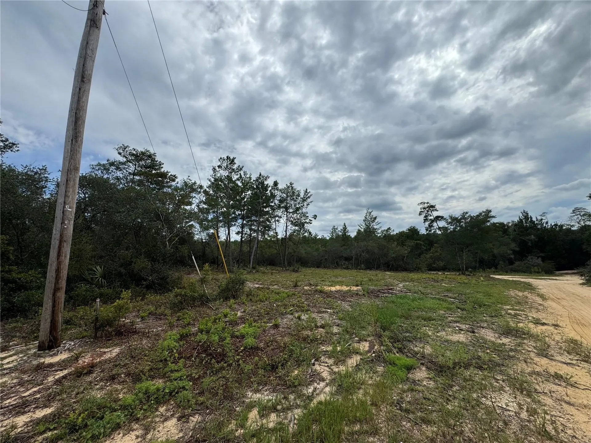 NE 135th Street Salt Springs FL 32134