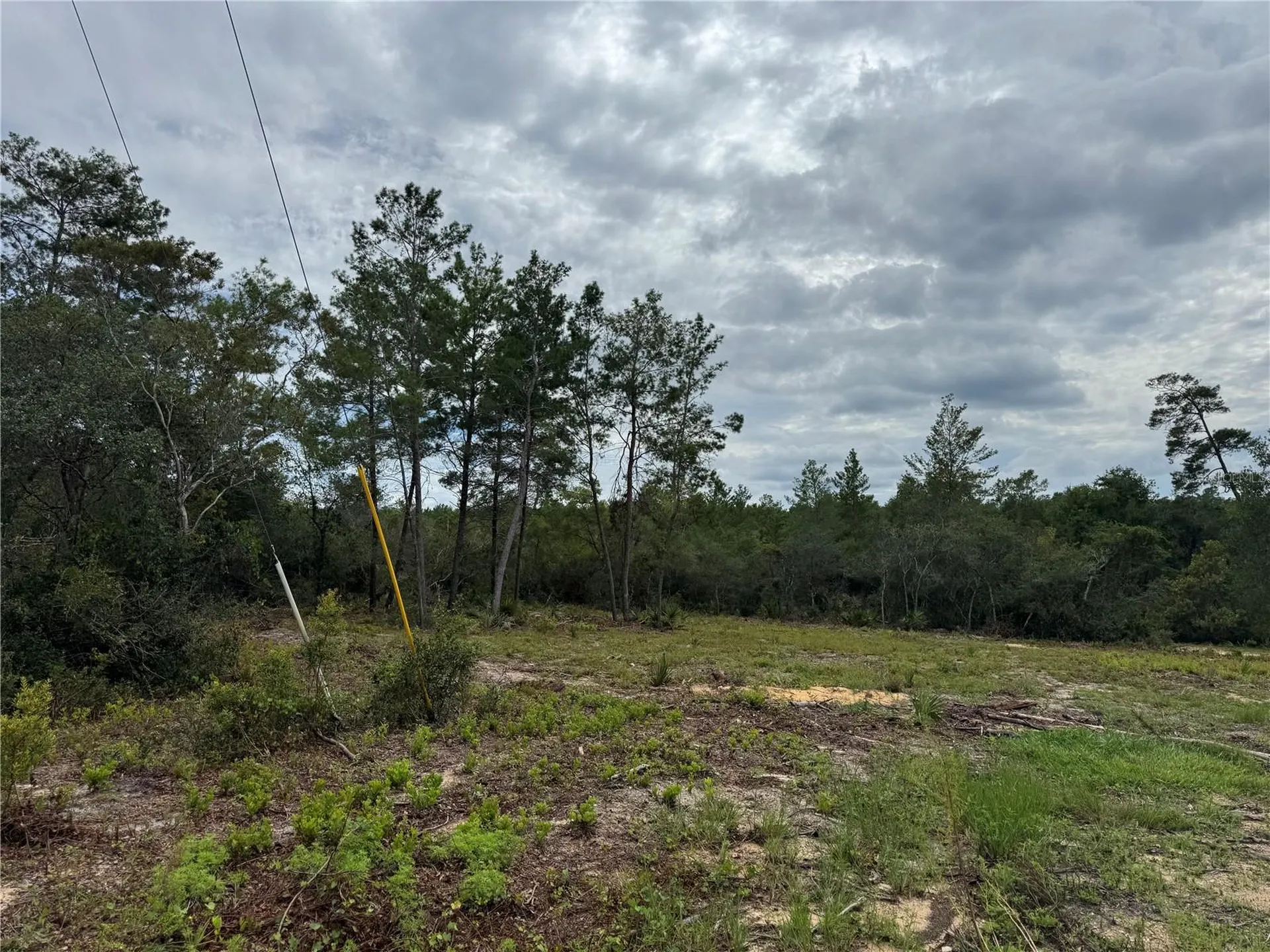 NE 135th Street Salt Springs FL 32134