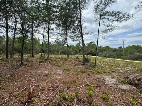 NE 135th Street Salt Springs FL 32134