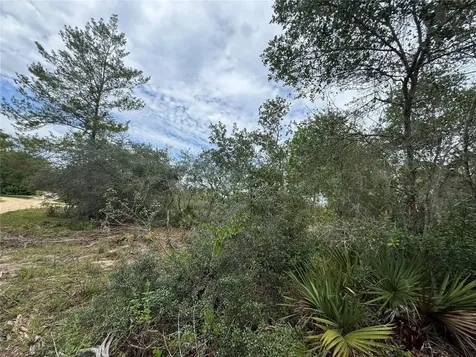 NE 135th Street Salt Springs FL 32134