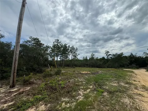 NE 135th Street Salt Springs FL 32134